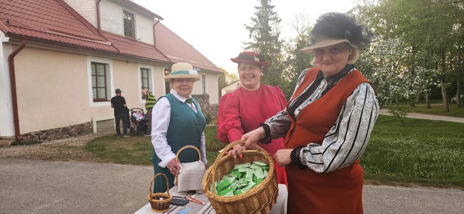 Aluksniesiem.lv raksta attēla aizvietotājs