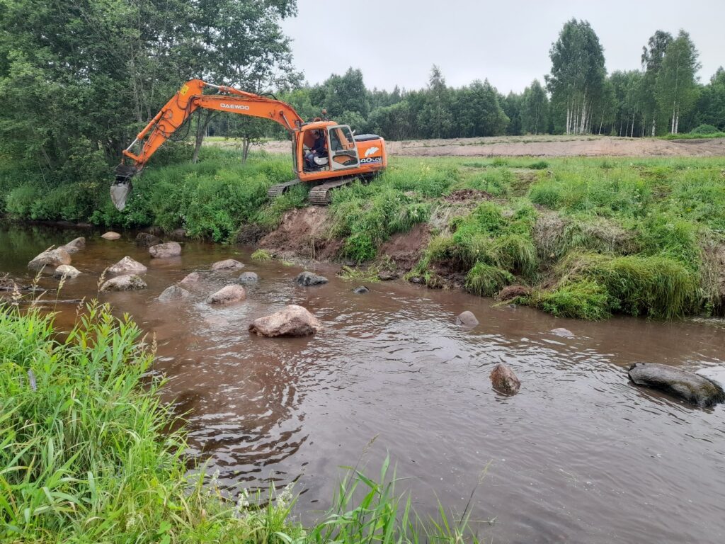 Lielu laukakmeņu ievietošana taisnotā Pededzes upes posmā - sadarbībā ar SIA ‘’Grafa In’’ upes gultnē ievietoti vairāk nekā 100 laukakmeņu 0,5 – 2 m diametrā.