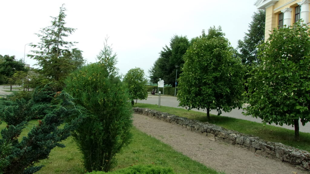 Aluksniesiem.lv raksta attēla aizvietotājs