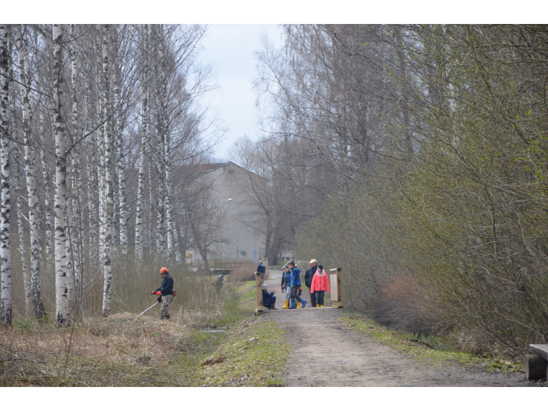 Aluksniesiem.lv raksta attēla aizvietotājs