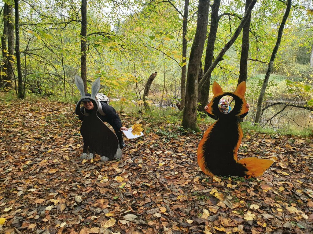 Aluksniesiem.lv raksta attēla aizvietotājs