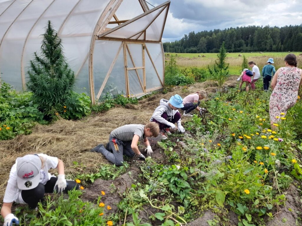 Aluksniesiem.lv raksta attēla aizvietotājs