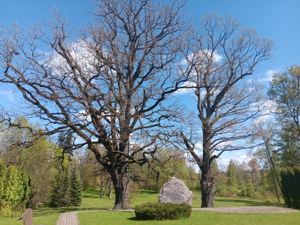 Aluksniesiem.lv raksta attēla aizvietotājs