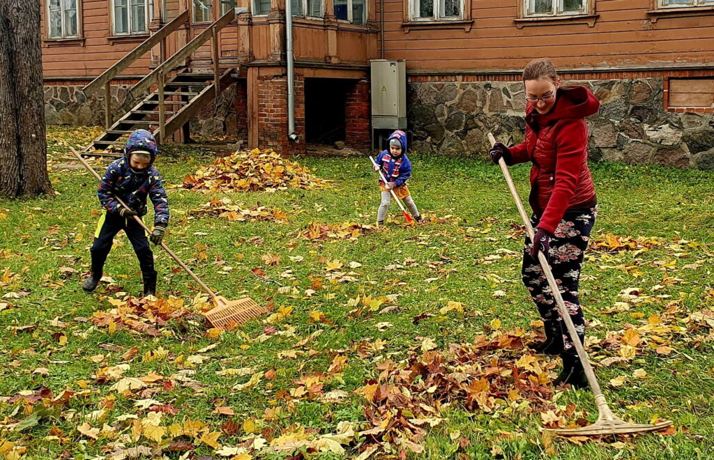 Aluksniesiem.lv raksta attēla aizvietotājs