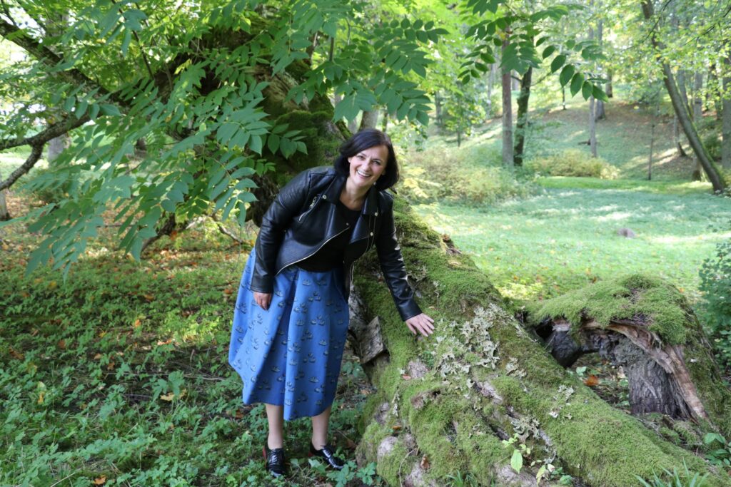 Aluksniesiem.lv raksta attēla aizvietotājs