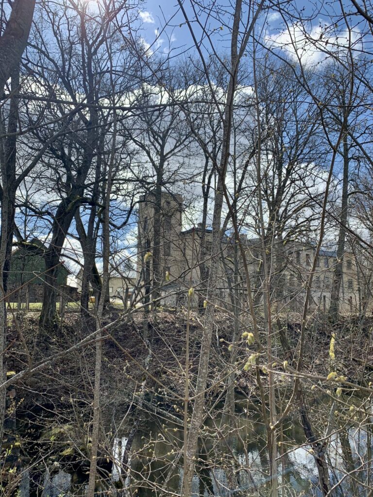 Aluksniesiem.lv raksta attēla aizvietotājs