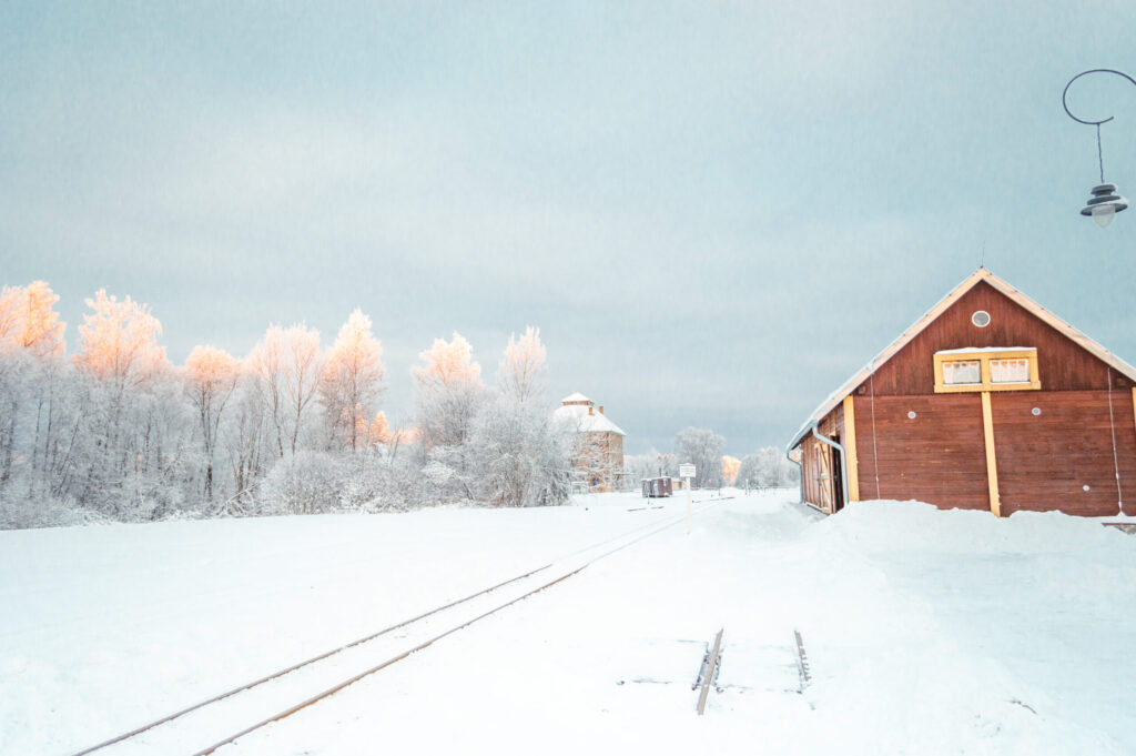 Autors: Foto: Elīna Kola