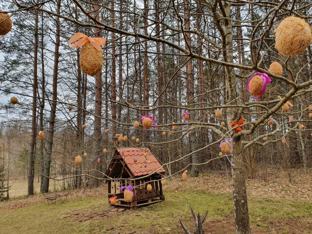 Aluksniesiem.lv raksta attēla aizvietotājs