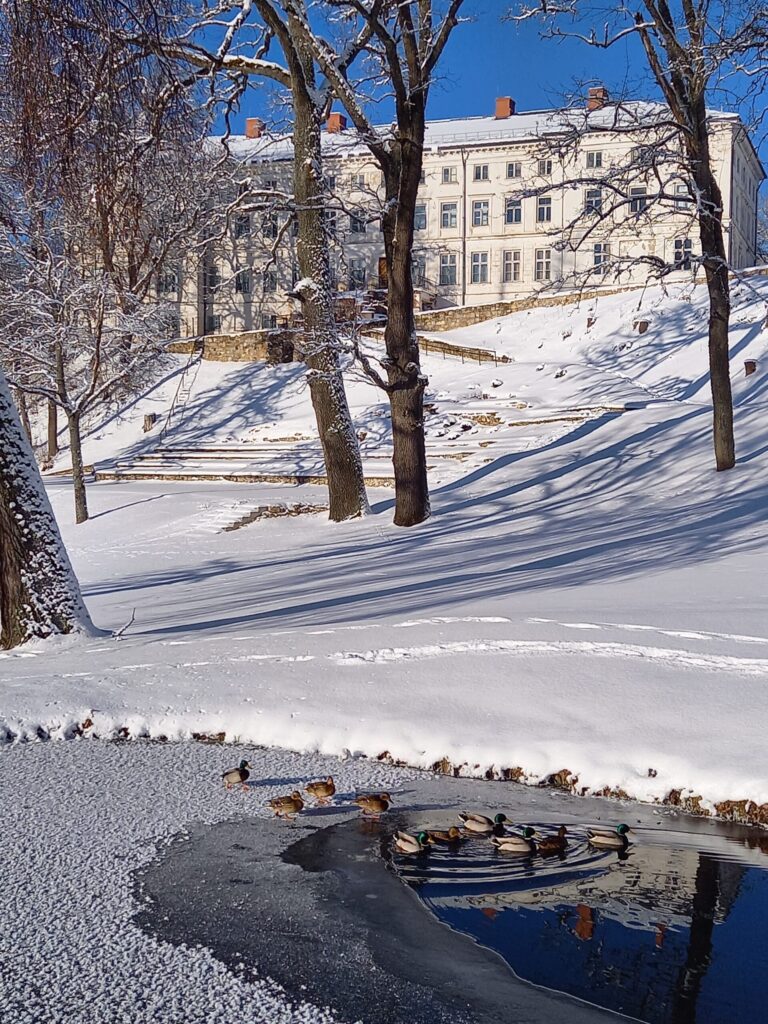 Autors: Gaujienas muižas parks Sanita Sproģe