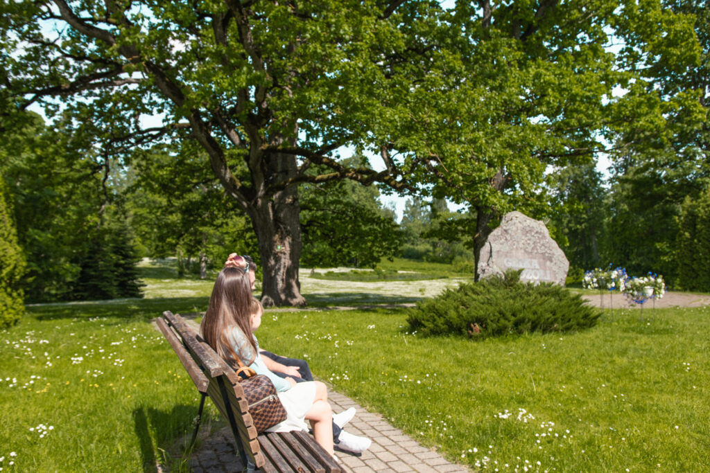 Aluksniesiem.lv raksta attēla aizvietotājs