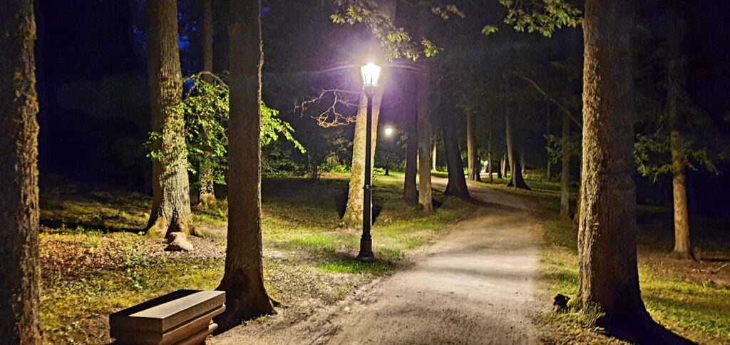 Aluksniesiem.lv raksta attēla aizvietotājs