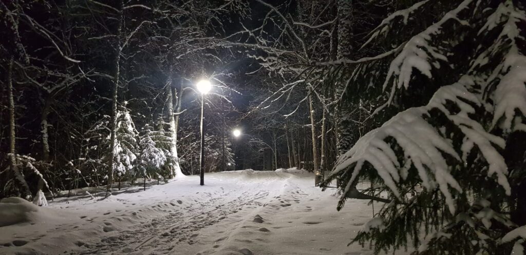 Aluksniesiem.lv raksta attēla aizvietotājs