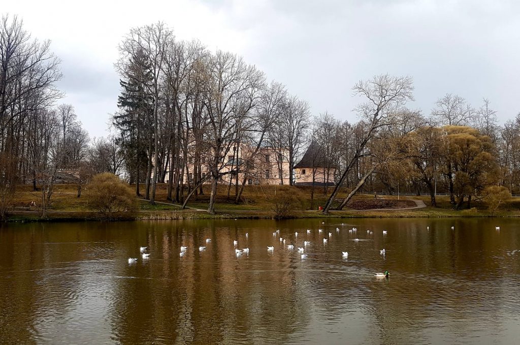 Aluksniesiem.lv raksta attēla aizvietotājs