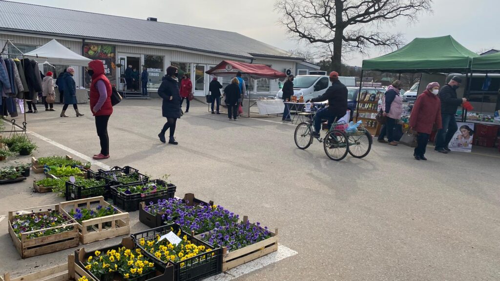 Aluksniesiem.lv raksta attēla aizvietotājs