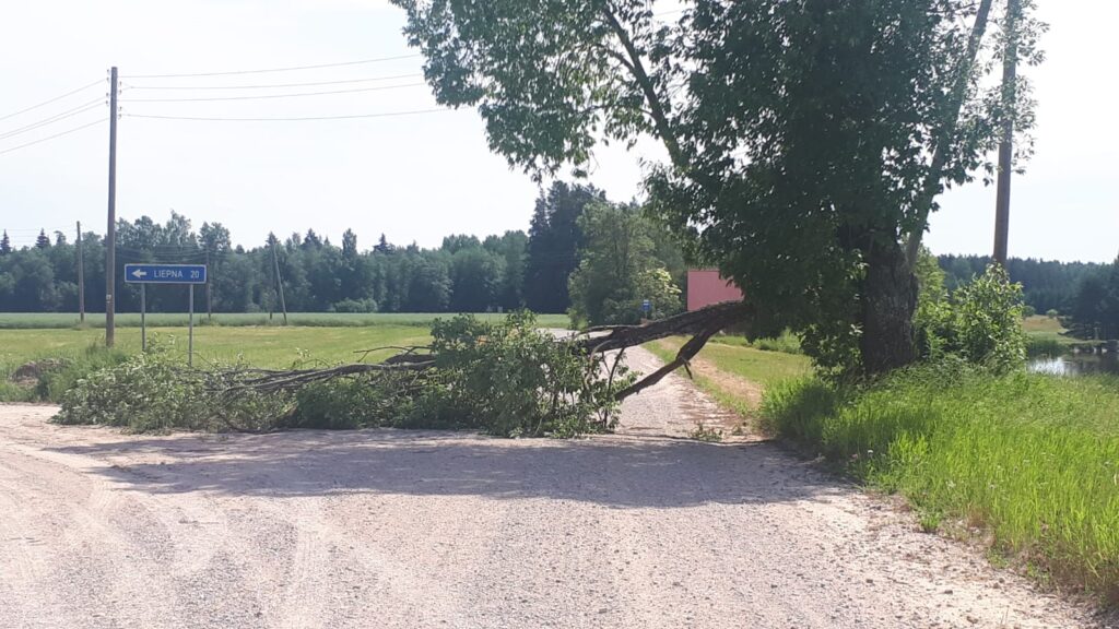 Aluksniesiem.lv raksta attēla aizvietotājs