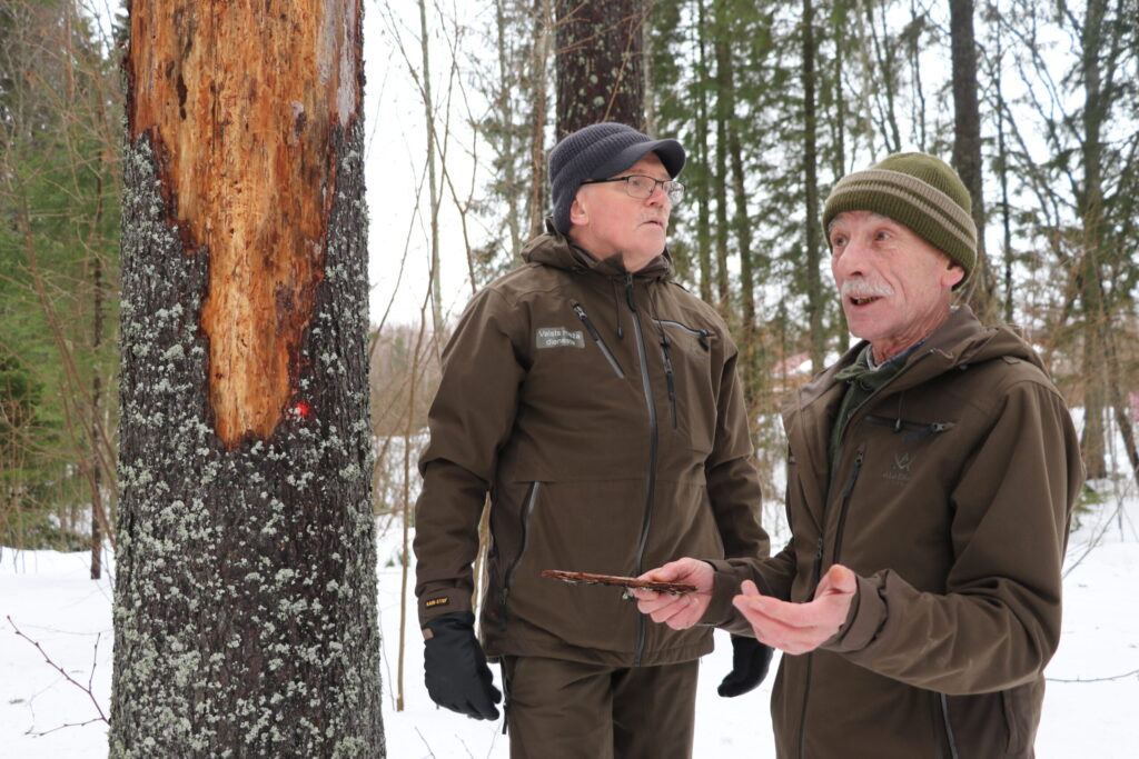 Aluksniesiem.lv raksta attēla aizvietotājs