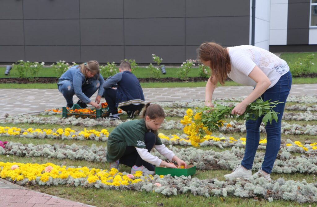 Aluksniesiem.lv raksta attēla aizvietotājs