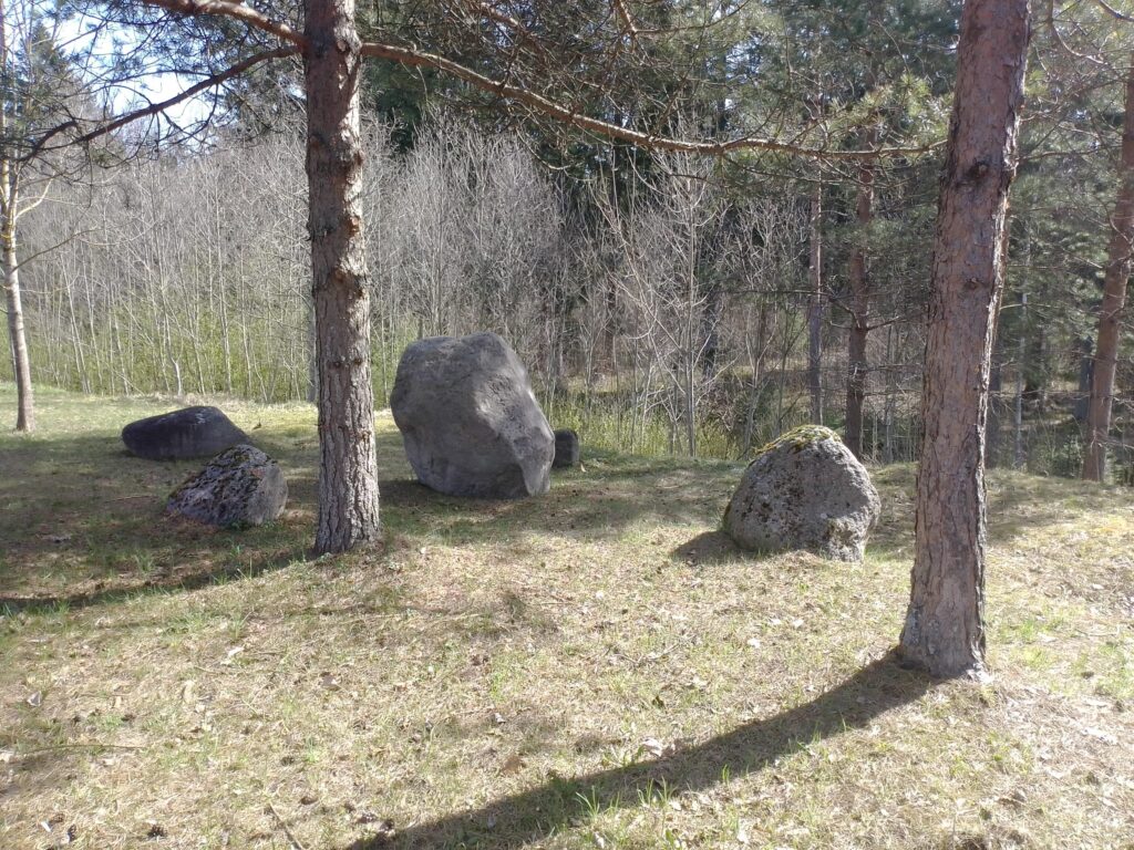 Aluksniesiem.lv raksta attēla aizvietotājs