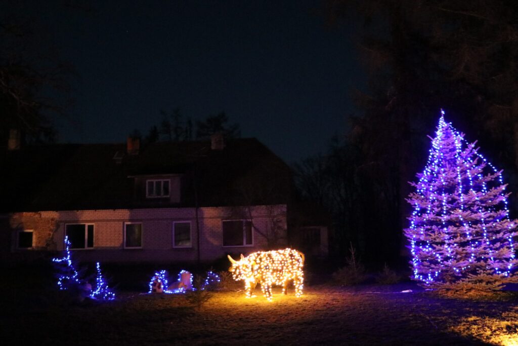Aluksniesiem.lv raksta attēla aizvietotājs