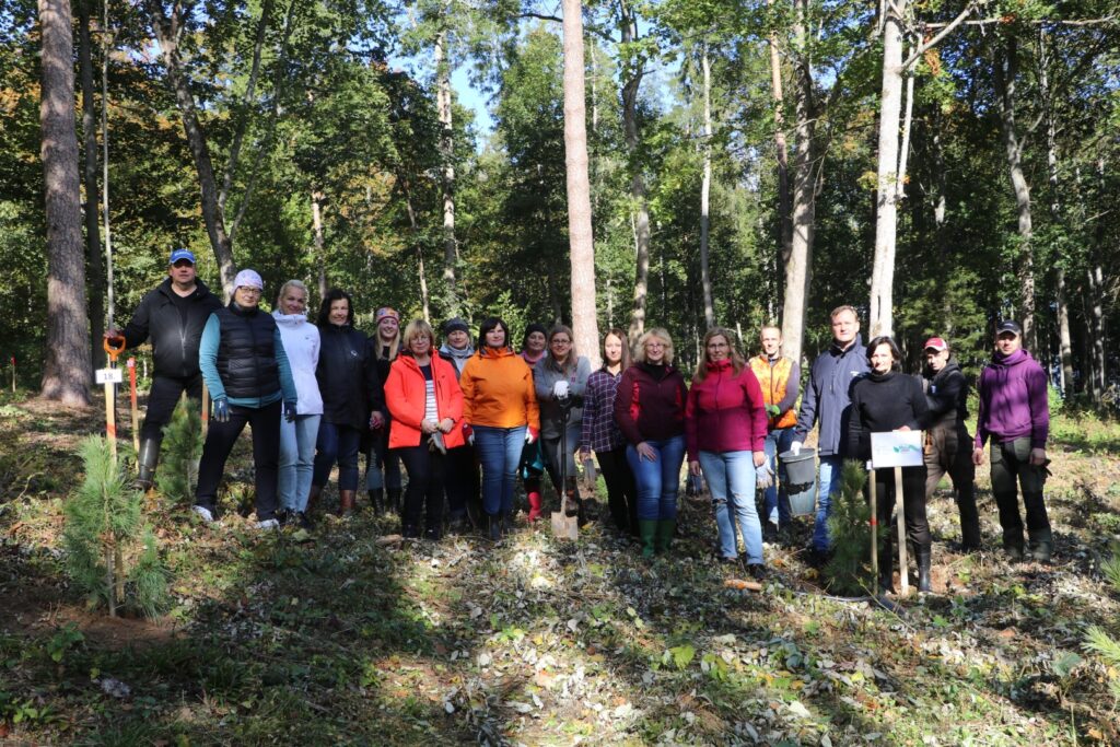Aluksniesiem.lv raksta attēla aizvietotājs