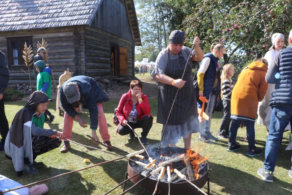 Aluksniesiem.lv raksta attēla aizvietotājs
