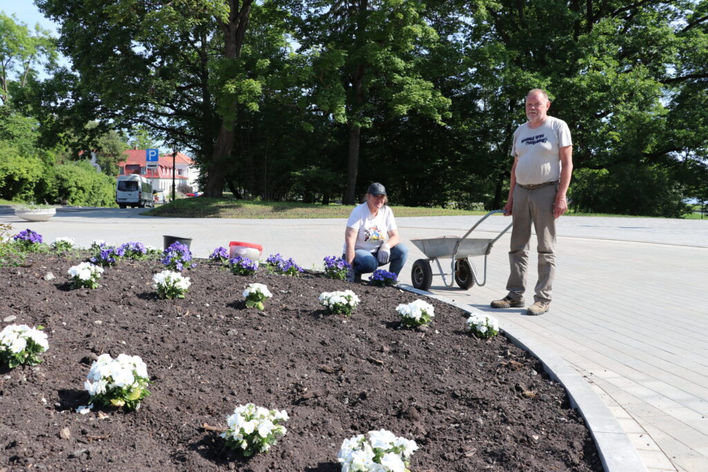 Aluksniesiem.lv raksta attēla aizvietotājs