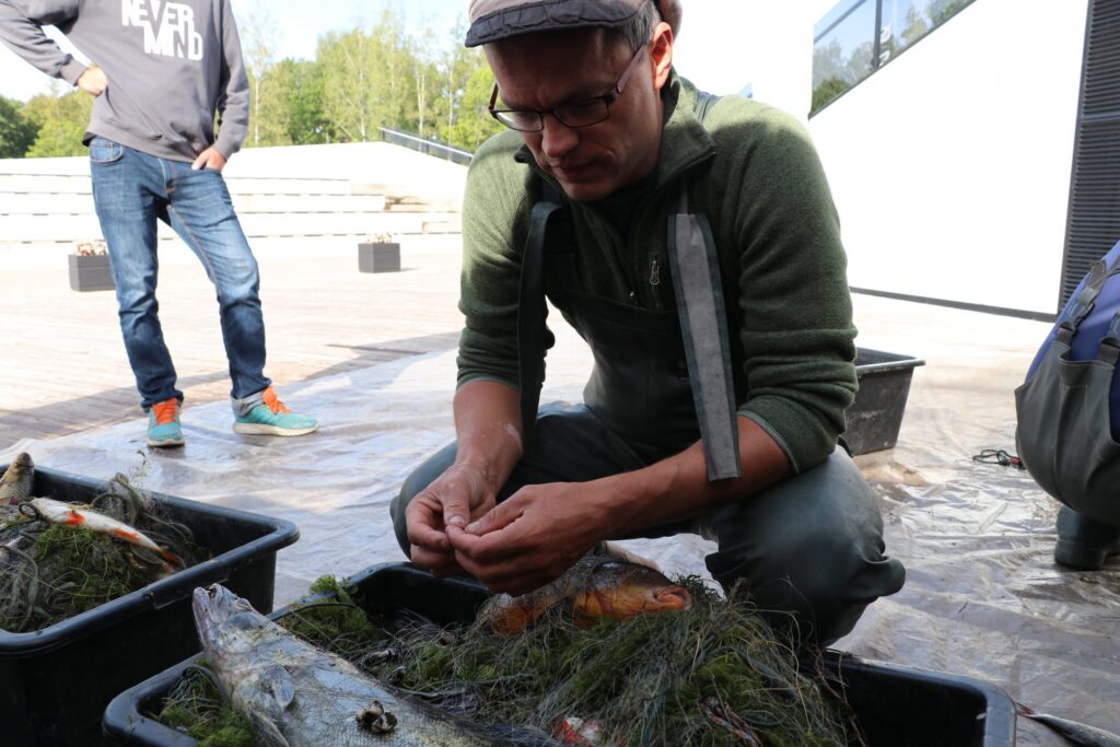 Aluksniesiem.lv raksta attēla aizvietotājs
