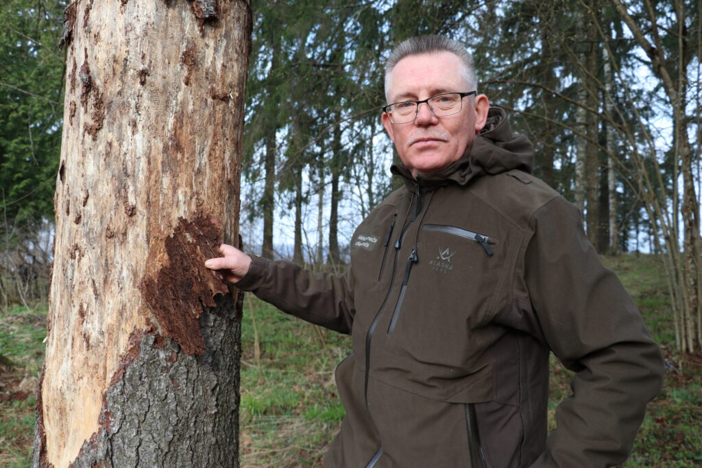 Aluksniesiem.lv raksta attēla aizvietotājs