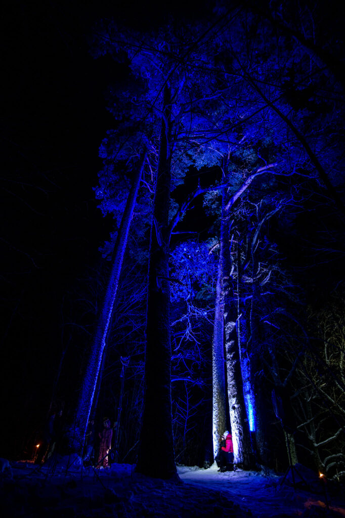 Autors: Mīlestības priedes Sveču takā Jānis Lārmanis