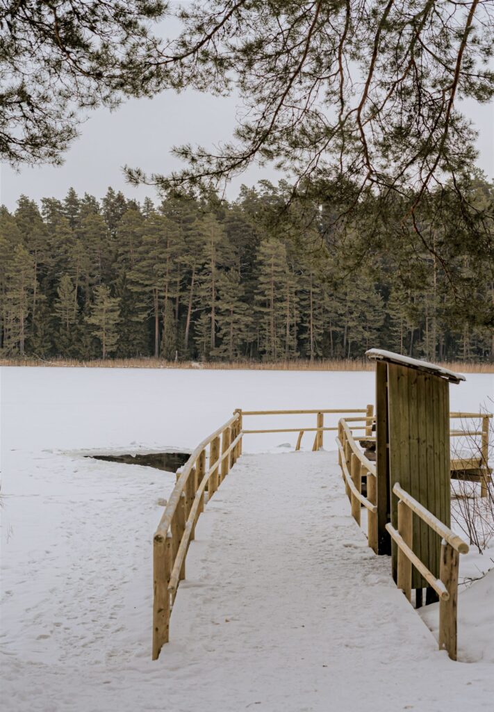 Autors: Niedrāja ezers Baiba Jansone
