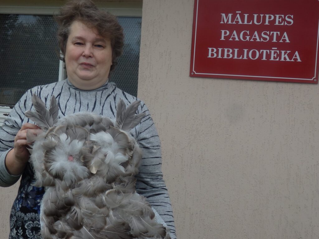 Aluksniesiem.lv raksta attēla aizvietotājs