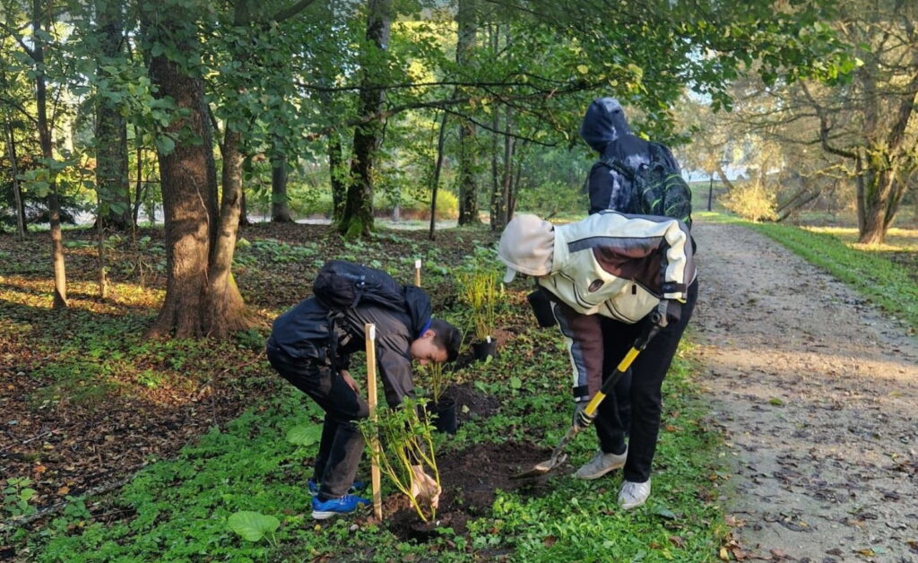 Aluksniesiem.lv raksta attēla aizvietotājs