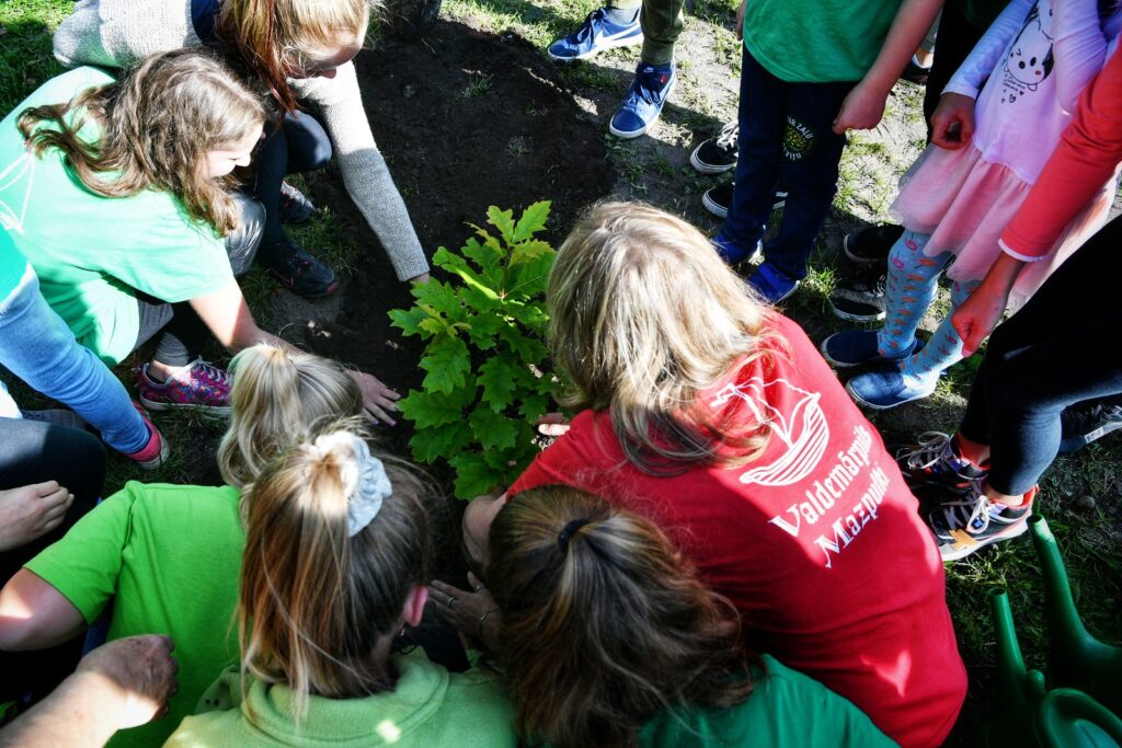 Aluksniesiem.lv raksta attēla aizvietotājs