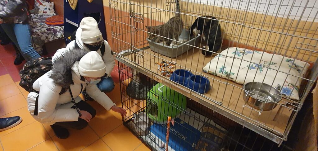 Autors: Foto: Lolita Vanaga