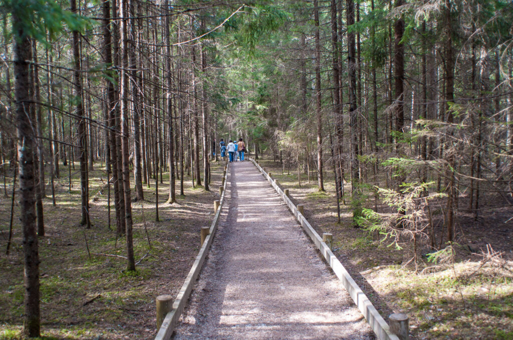 Aluksniesiem.lv raksta attēla aizvietotājs