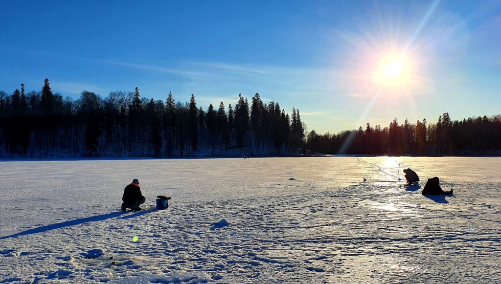 Aluksniesiem.lv raksta attēla aizvietotājs