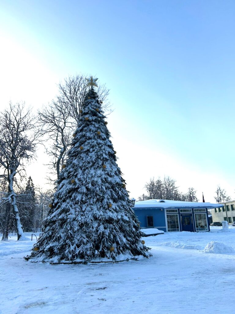 Aluksniesiem.lv raksta attēla aizvietotājs