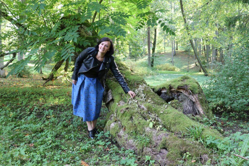 Aluksniesiem.lv raksta attēla aizvietotājs