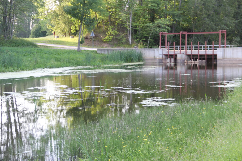 Aluksniesiem.lv raksta attēla aizvietotājs