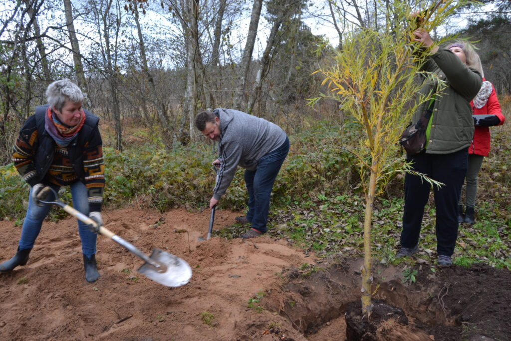 Aluksniesiem.lv raksta attēla aizvietotājs