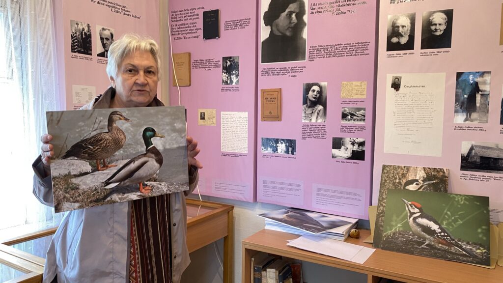 Aluksniesiem.lv raksta attēla aizvietotājs