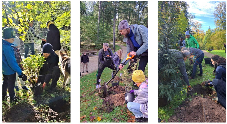 Aluksniesiem.lv raksta attēla aizvietotājs