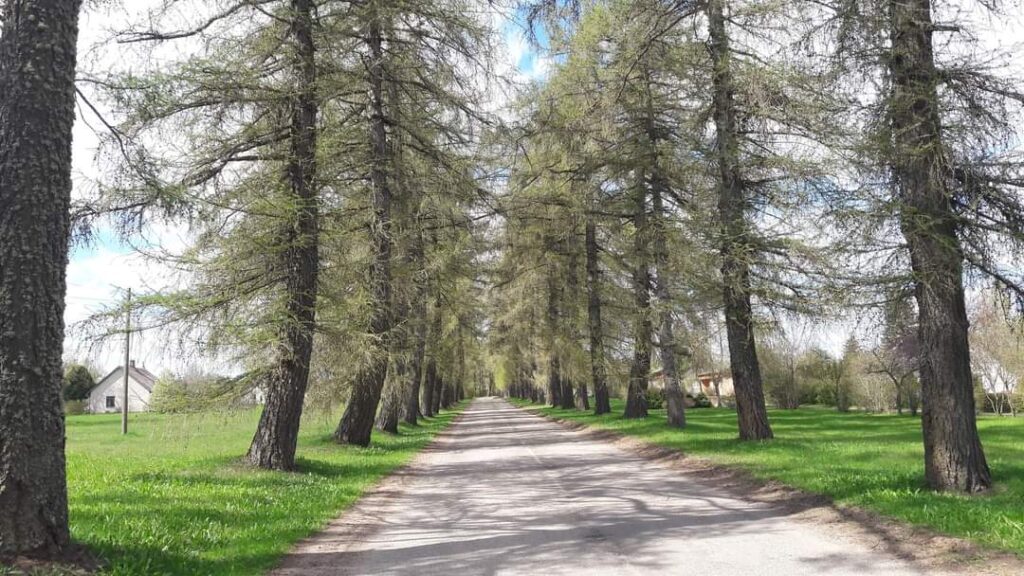 Aluksniesiem.lv raksta attēla aizvietotājs