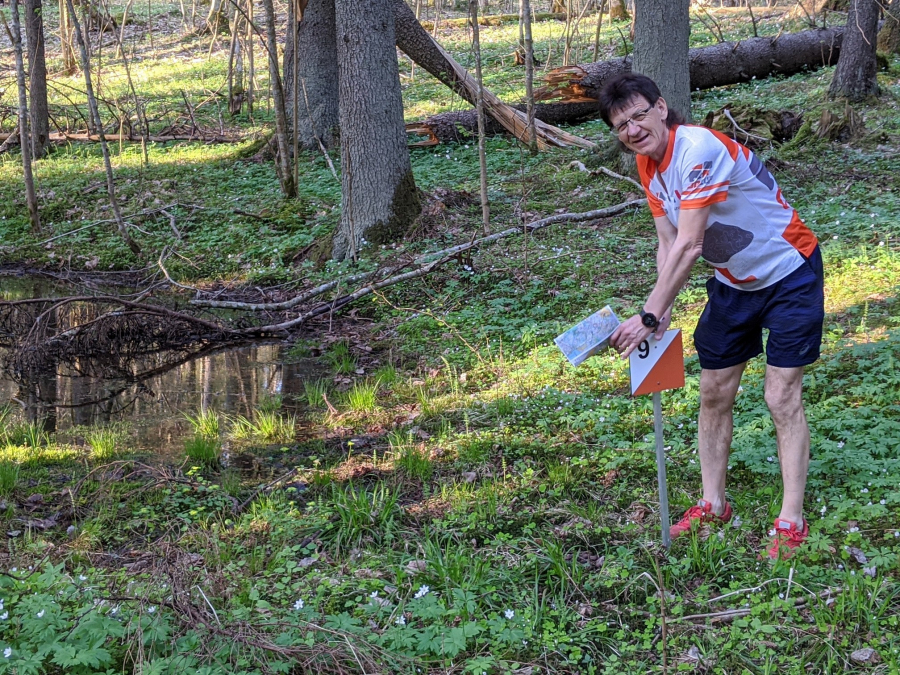 Aluksniesiem.lv raksta attēla aizvietotājs