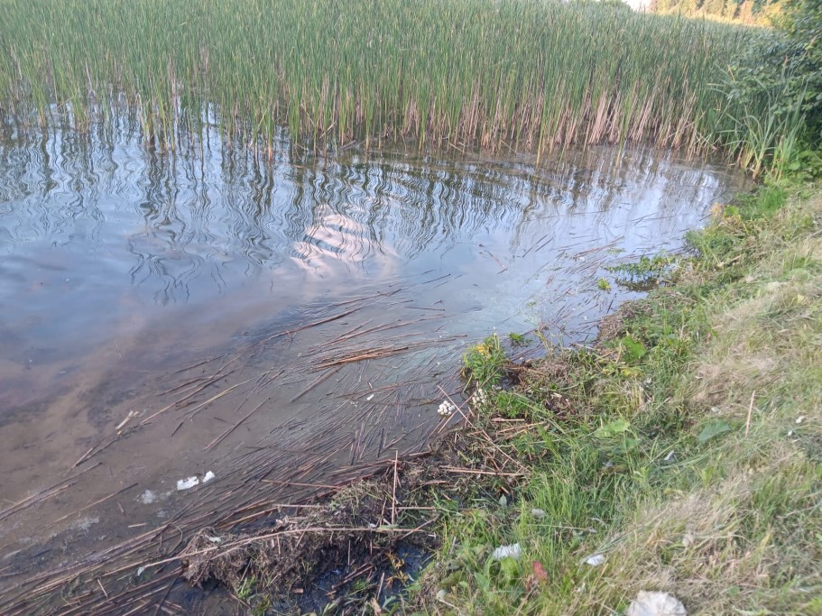 Autors: Laura Felša