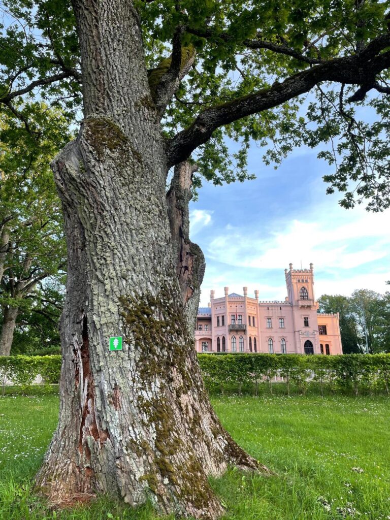 Aluksniesiem.lv raksta attēla aizvietotājs