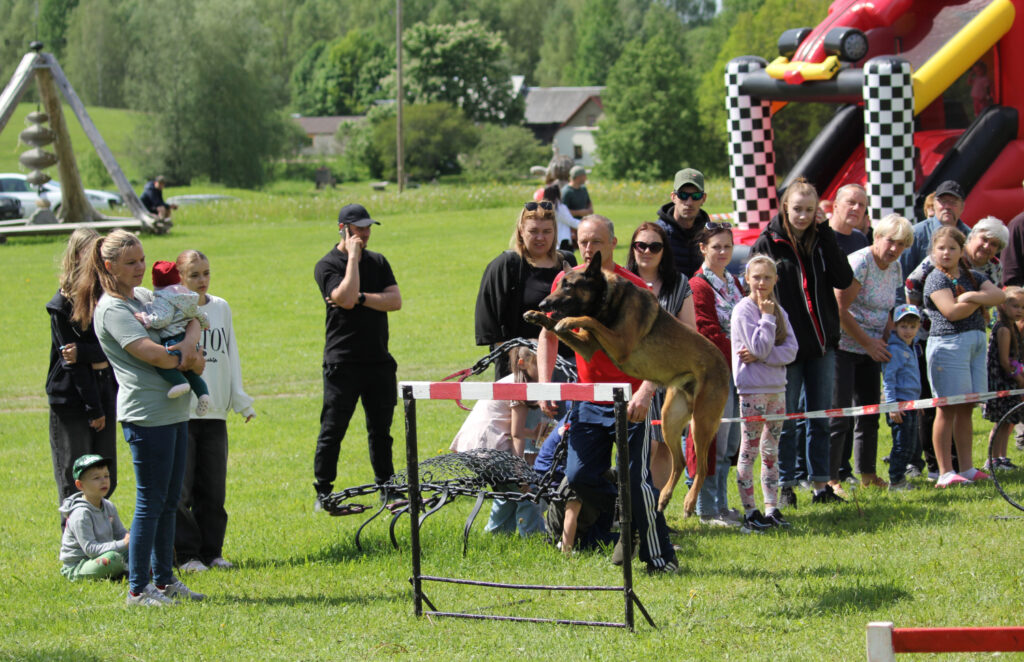 Aluksniesiem.lv raksta attēla aizvietotājs