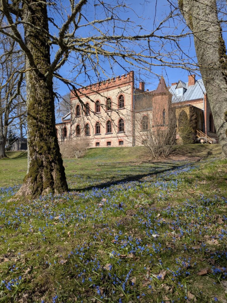 Aluksniesiem.lv raksta attēla aizvietotājs