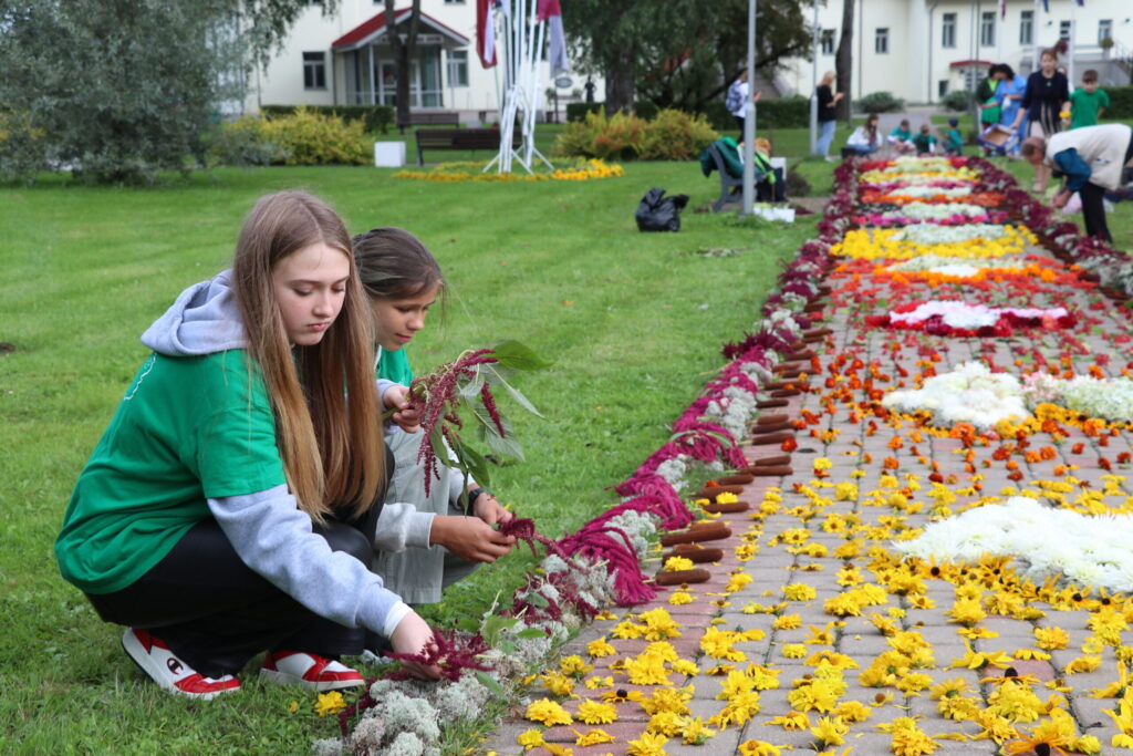 Aluksniesiem.lv raksta attēla aizvietotājs