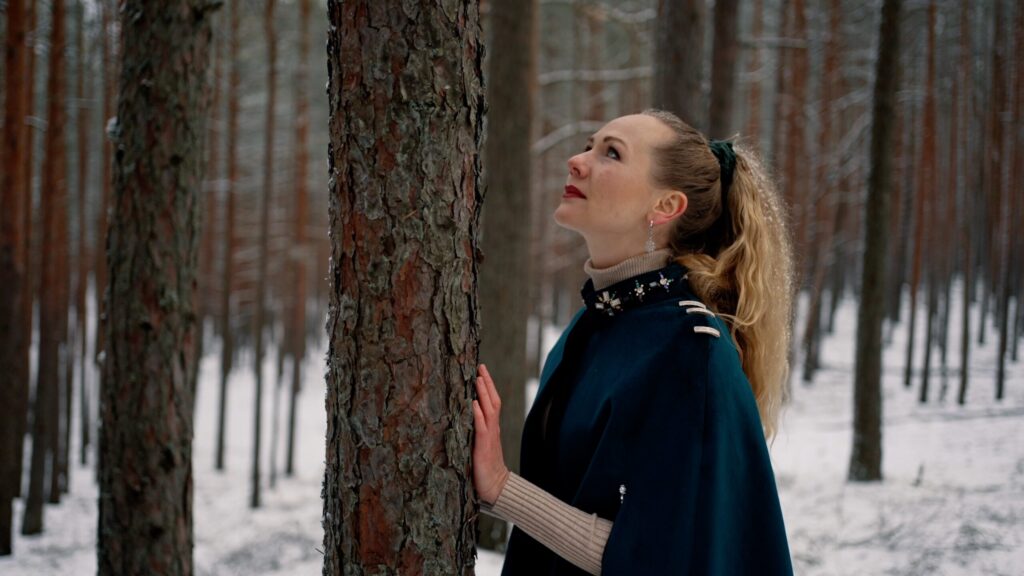 Aluksniesiem.lv raksta attēla aizvietotājs